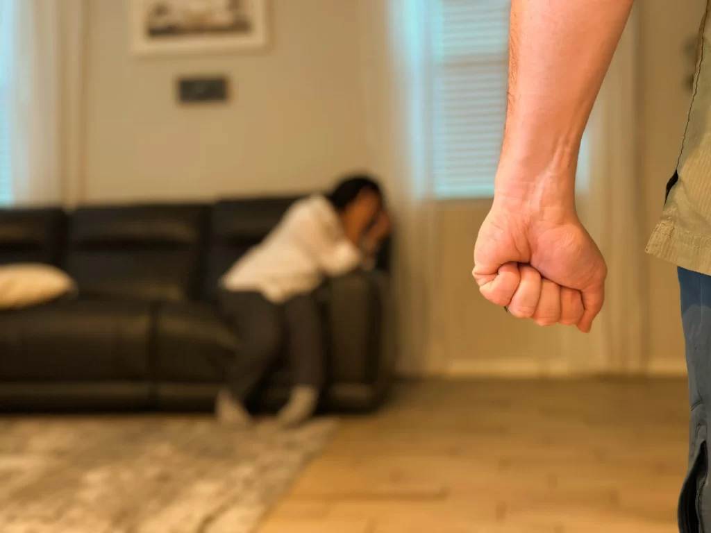 Domestic violence attorney