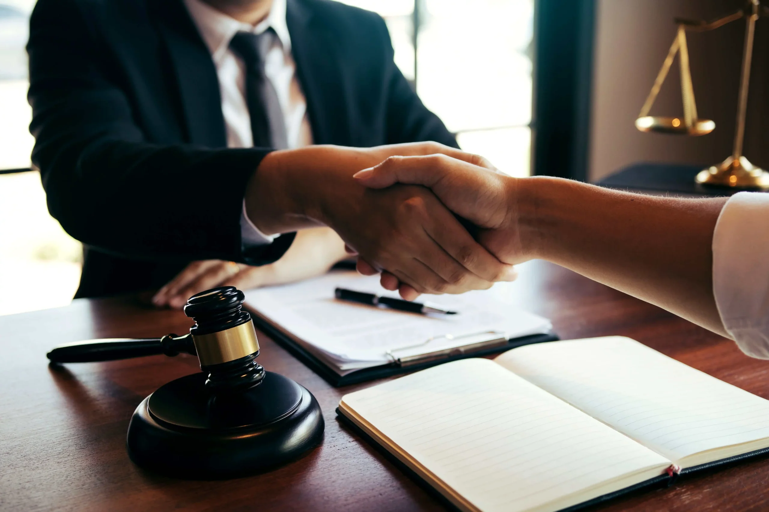 criminal defense lawyers​